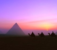 Camel ride